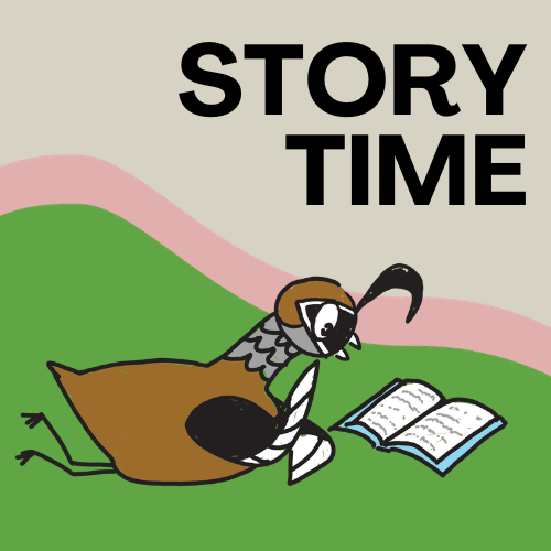 Storytime. California quail cartoon character reading a book while lying down.