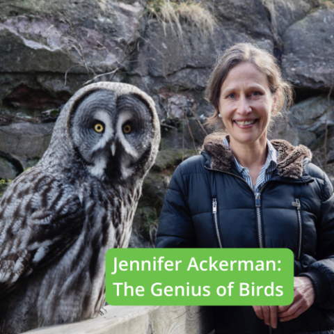 Author talk: Jennifer Ackerman. The Genius of Birds. Large gray owl perched on wall with author.