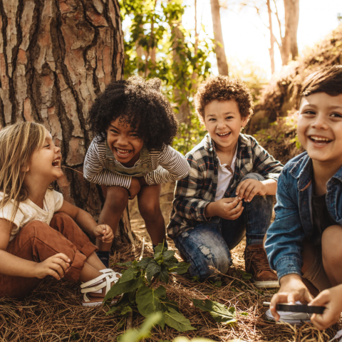 Young children playing in a forest