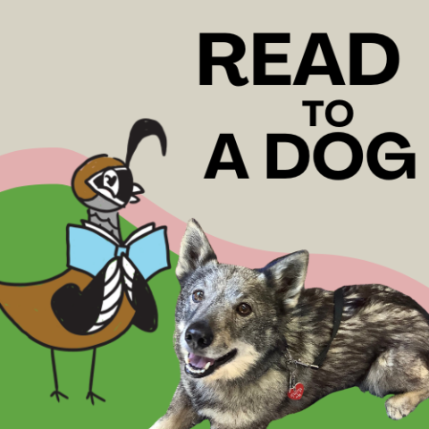 Read to a Dog. Cartoon quail reading to a furry gray dog on green and pink background.