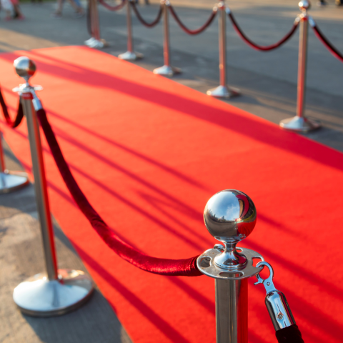 red carpet with velvet rope for movie stars at Oscar awards