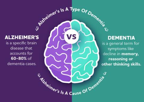 Dementia vs alzheimers