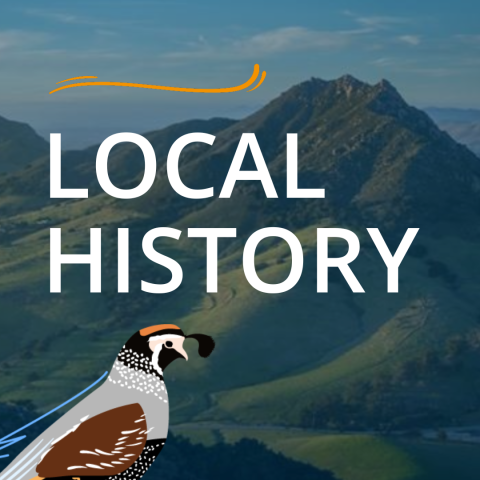 Local history with quail illustration and Bishop Peak background