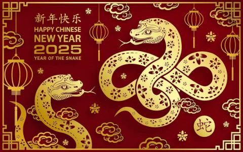 year of the snake