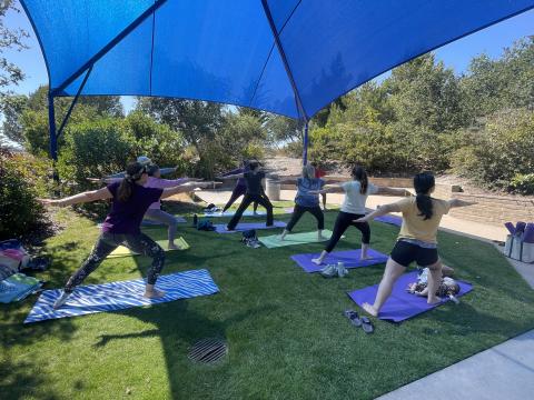 Yoga at the library lawn