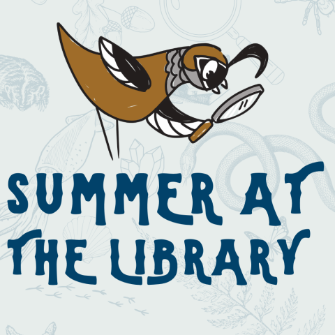 Cartoon quail with magnifying glass. Summer at the Library.