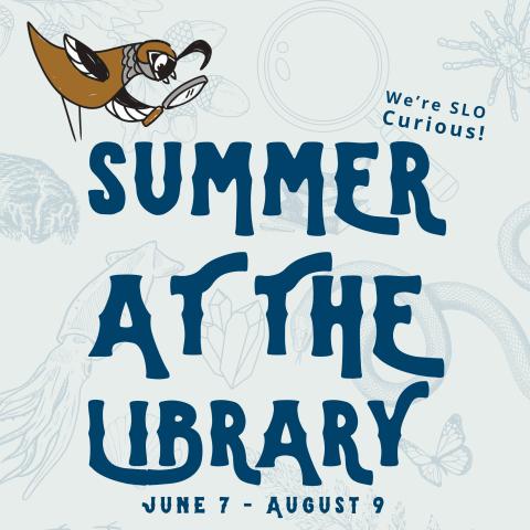 Summer at the library