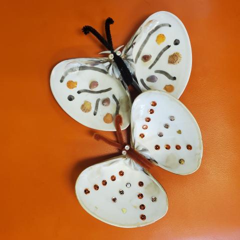seashell butterflies