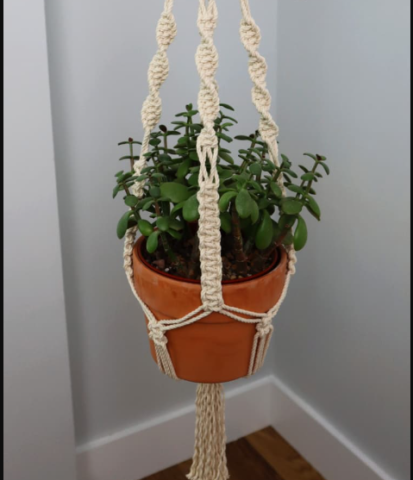 Macrame plant hanger with plant in a pot
