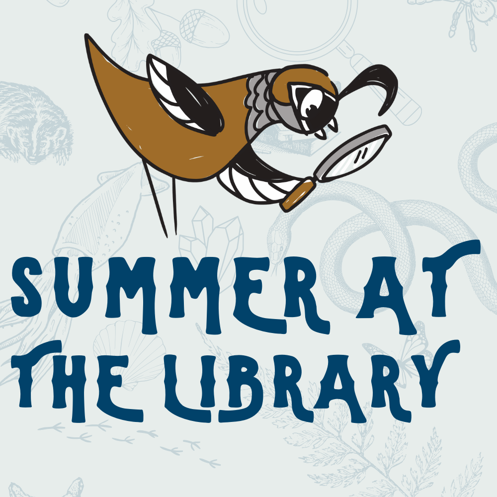 Cartoon quail with magnifying glass. Summer at the Library.