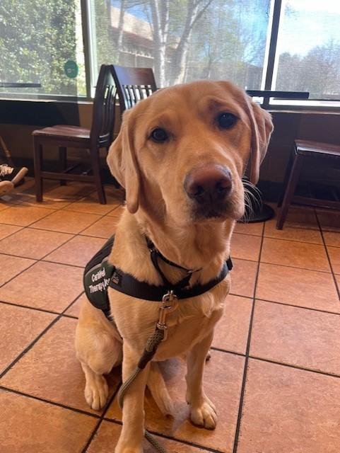 Read to Grove the Service Dog.